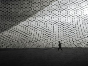 Carpentry & Finishing for IFA Berlin